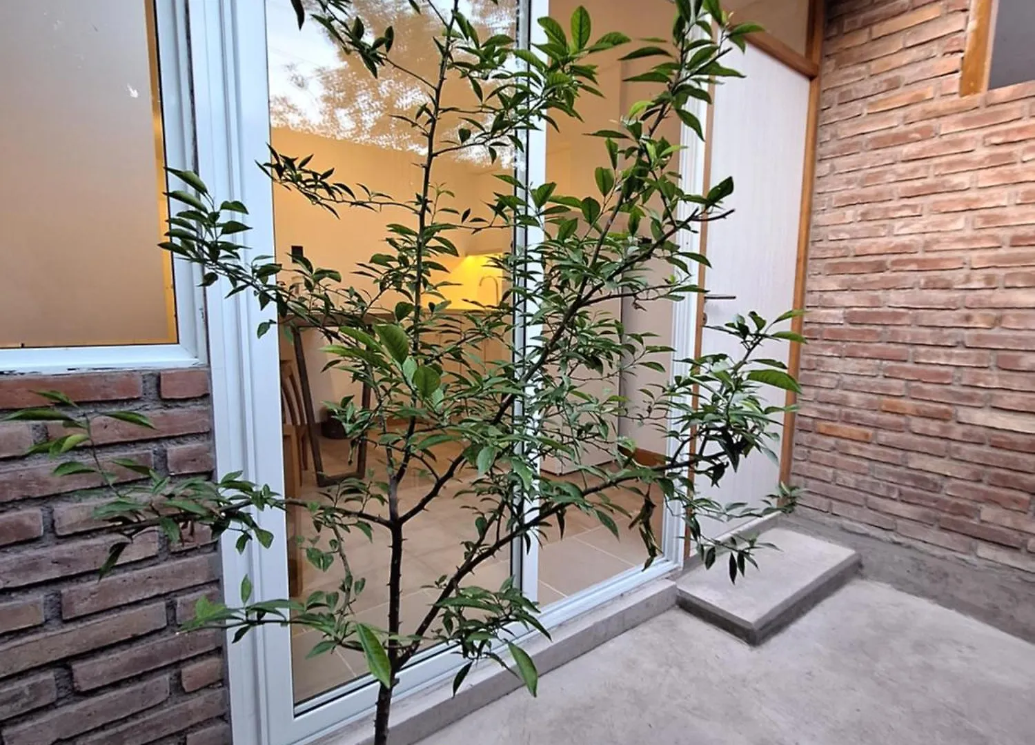 شقة Loft Vicente Gil 143 A Pasos De Aristides ميندوزا